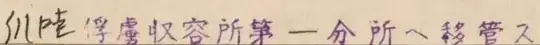 Line 1 in field "other informations"