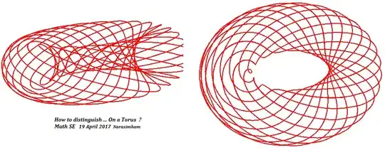 Hairy Torus