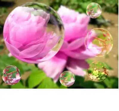 Screenshot of DISKPART showing error