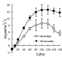 A/Ci curve