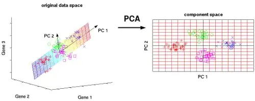 PCA