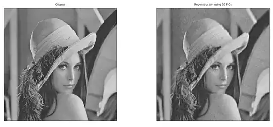 Two grayscale versions of the Lenna image. The one on the right is grainy but definitely recognizable.