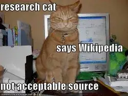 lolcat
