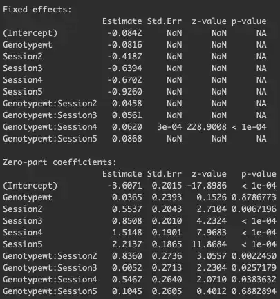 model summary output
