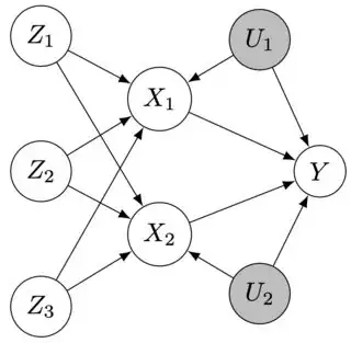 Directed acyclic graph with multiple instrumental and endogenous variables