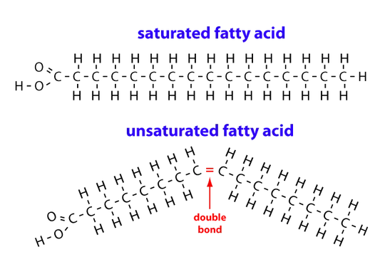 fatty acid chains