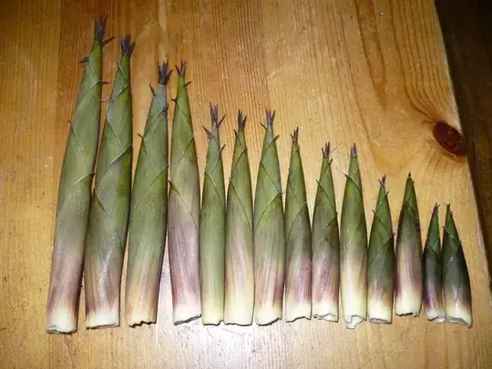 bamboo shoots