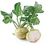 kohlrabi