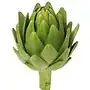 artichoke